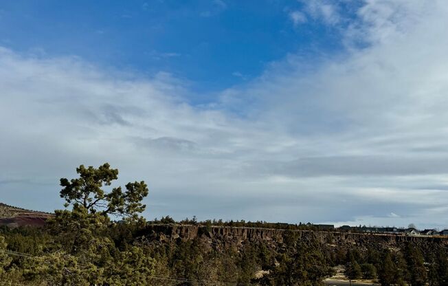 Brand new build with stunning Dry Canyon views!