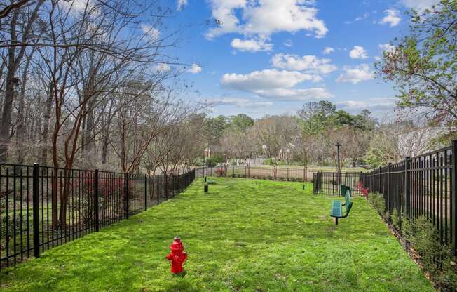 a yard with a red fire hydrant and a black fence