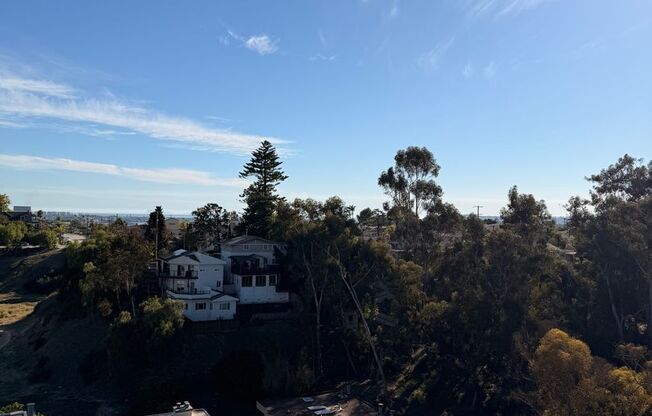 Studio, 1 bath, 362 sqft, $2,660, Unit 904