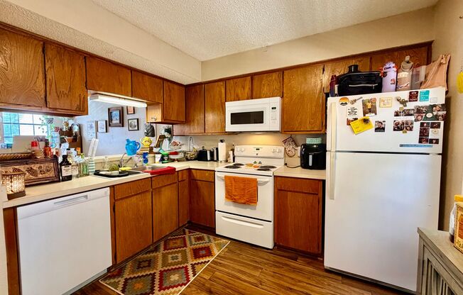 1251 Dallas Dr, Denton TX 76205