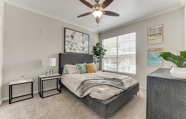 A bedroom with a bed, a ceiling fan, and a potted plant.
