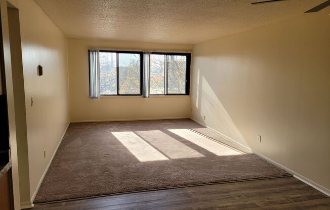 Minnehaha 94 Apartments