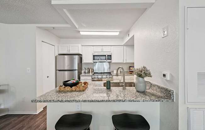 Dominium_Lucille_Kitchen 2.jpg