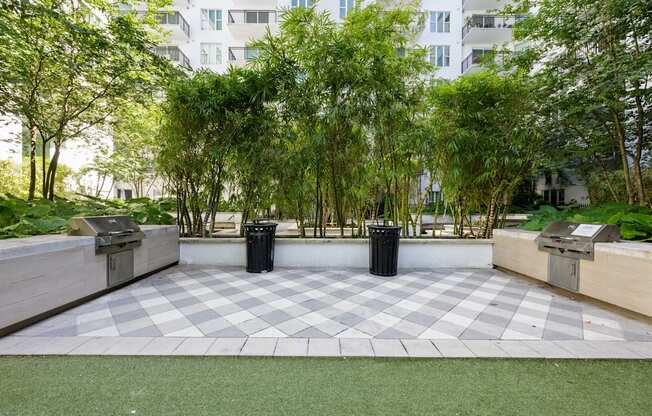 an empty park with trees and a checkered floor