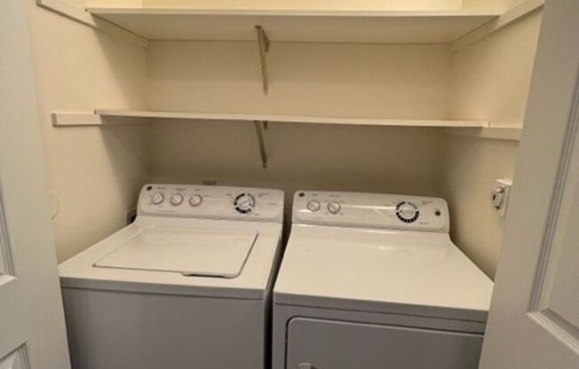 1 bed, 1 bath, 800 sqft, $1,645, Unit 1013