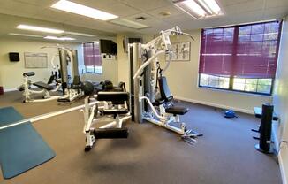 1 bed, 2 baths, 740 sqft, $1,500