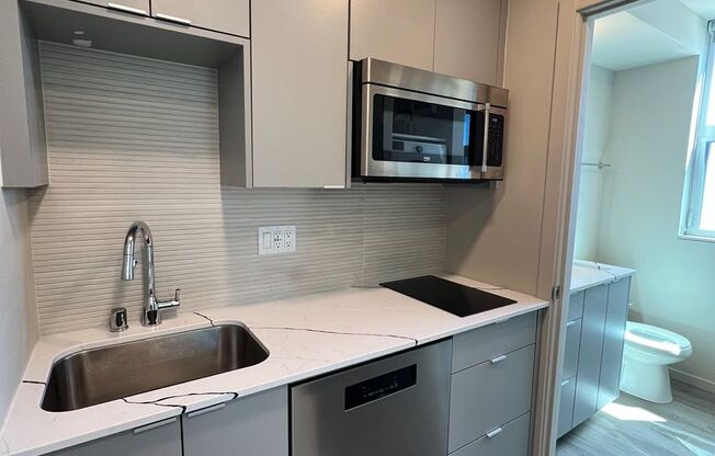 Studio, 1 bath, 285 sqft, $1,325, Unit 310