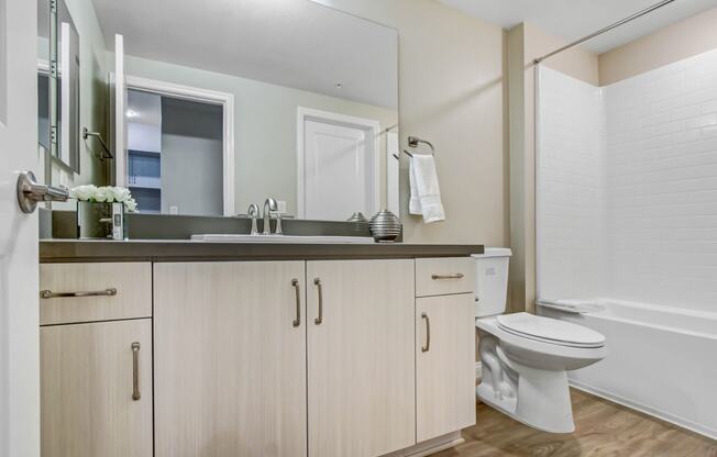 a bathroom with a sink and a toilet