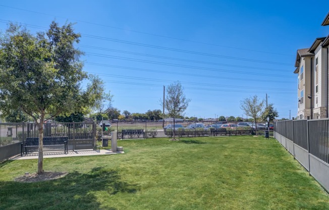 the preserve at ballantyne commons community yard with grass and trees