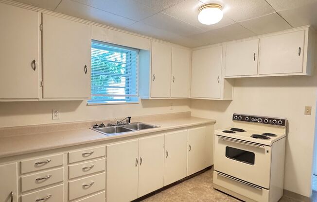 1 BEDROOM, 1 BATHROOM, GARDEN LEVEL APARTMENT, MINUTES FROM DOWNTOWN!