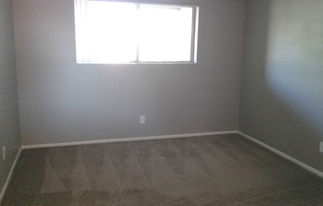 1 bed, 1 bath, 565 sqft, $1,175, Unit 231