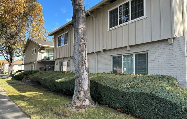 1610 Cloverdale Lane