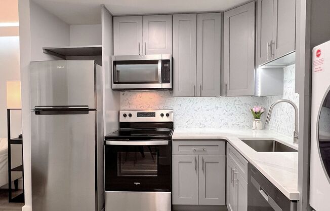 1 bed, 1 bath, 504 sqft, $1,425, Unit 243