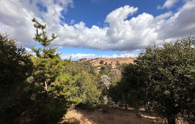 Los Altos Hills Retreat w/ stunning views (4bd/3ba) & Palo Alto schools