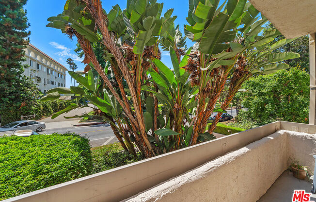 Studio, 1 bath, 403 sqft, $2,499, Unit 217