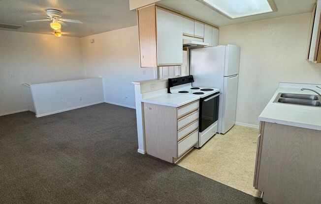 1 bed, 1 bath, $950