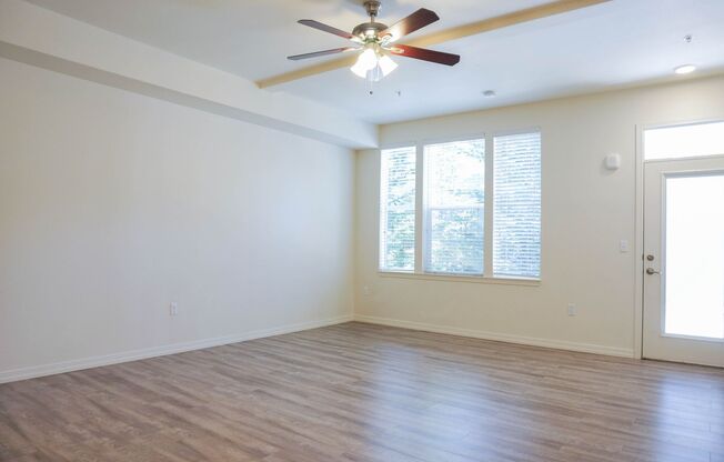 Studio, 1 bath, 356 sqft, $1,299