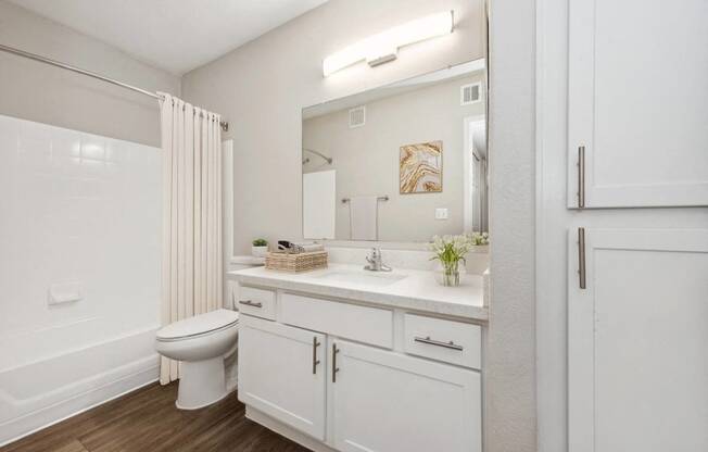 a bathroom with a toilet sink and a mirror