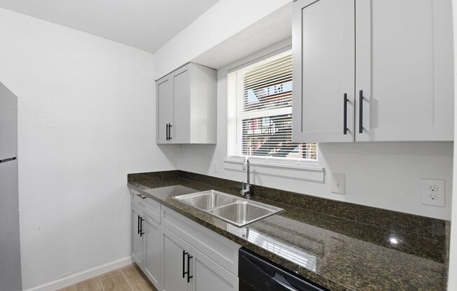 1 bed, 1 bath, 742 sqft, $939, Unit 1003