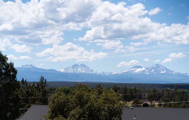 Brand New 2 Bedroom Duplex in SW Redmond