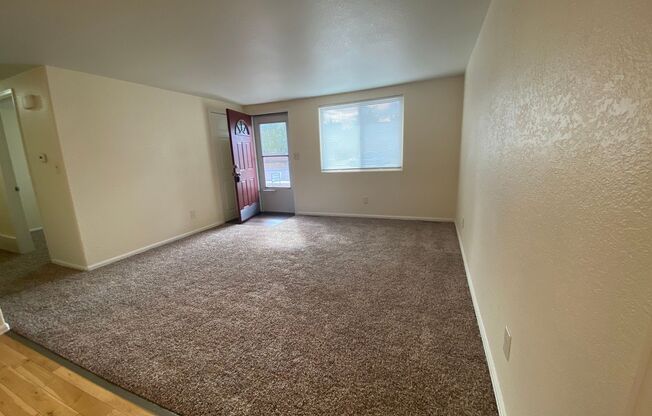 Remodeled Single Level 3 Bedroom House