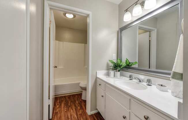 Bathroom with vanity and separate shower area