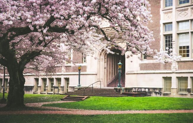 Studio, 1 bath, 330 sqft, $1,789, Unit 201