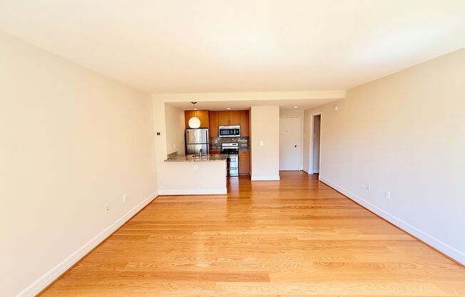 Studio, 1 bath, 460 sqft, $2,400, Unit 0310