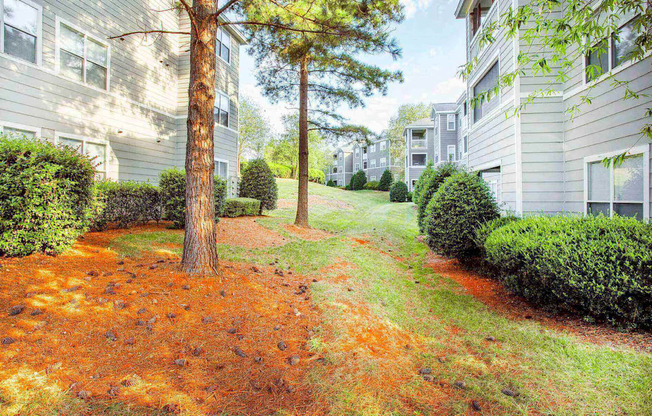 Grassy shaded park like area good for walking dogs at Seasons at Umstead apartments in Raleigh