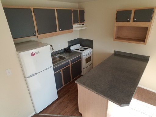 Studio, 1 bath, 300 sqft, $1,295, Unit 201