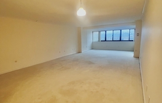 2 beds, 2 baths, 1,315 sqft, $4,300, Unit 14N