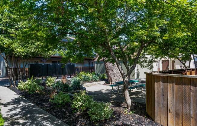 View of courtyard with picnic table, mail area, and nice landscaping and trees