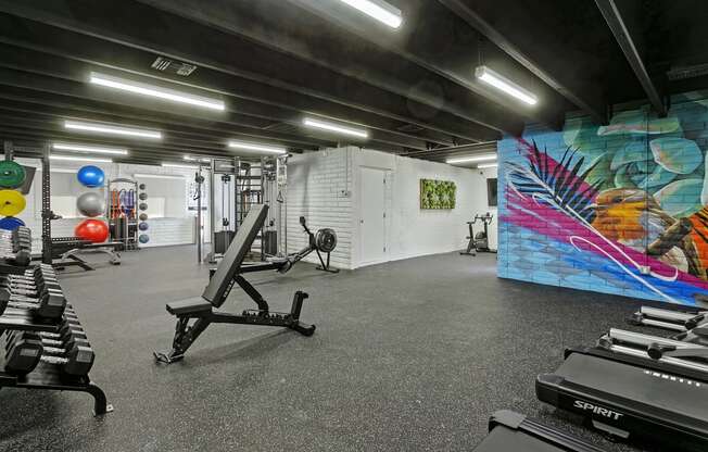 a large fitness room with weights and a wall with a mural of a bird