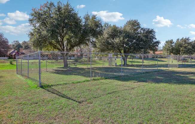 A fenced grassy area with trees in the background.