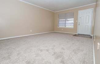 A living room with a carpeted floor and a window at The Creole Apartments in Shreveport, LA