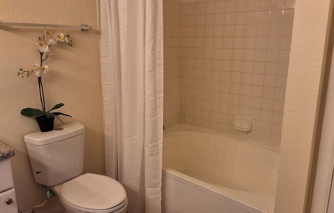 1 bed, 1 bath, $1,475, Unit # 3060