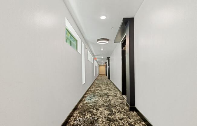 a long corridor with white walls and black doors and carpeted floors