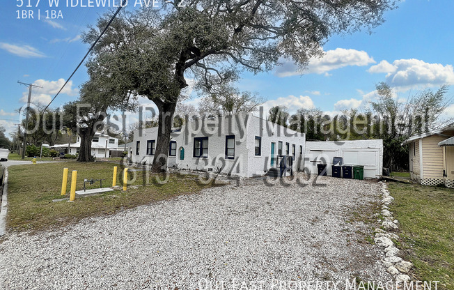 517 W IDLEWILD AVE