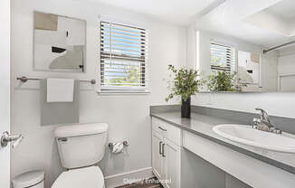 A bathroom with a toilet, sink, and a mirror.