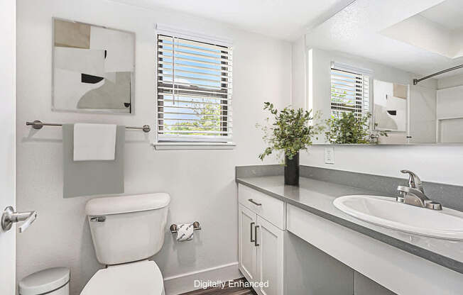 A bathroom with a toilet, sink, and a mirror.