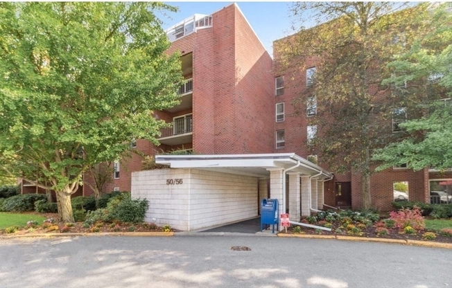 1 bed, 1 bath, 800 sqft, $2,400, Unit 307