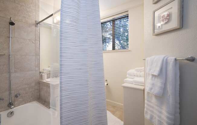 a bathroom with a shower and a toilet next to a sink