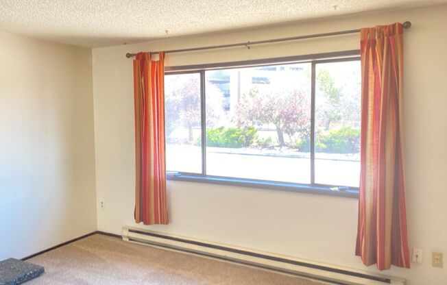 2 beds, 1 bath, $1,300