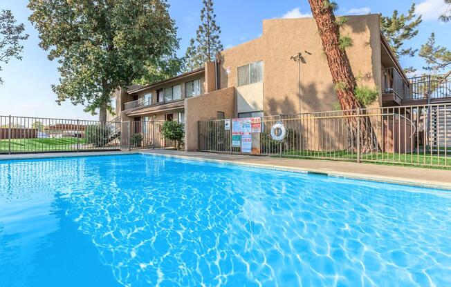 a group of people swimming in a pool of water