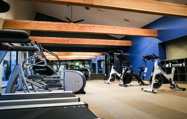 a gym with cardio equipment and weights on the floor