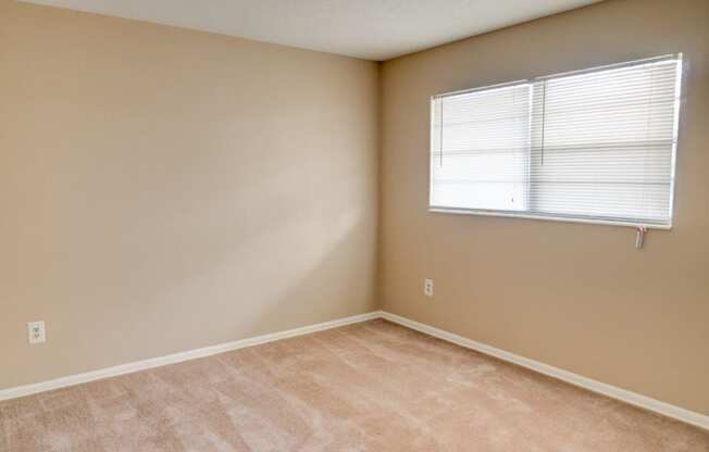 Wall-To-Wall Carpeting at Hibiscus Place Apartments, Orlando