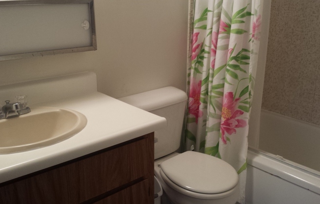 Waikiki Studio!