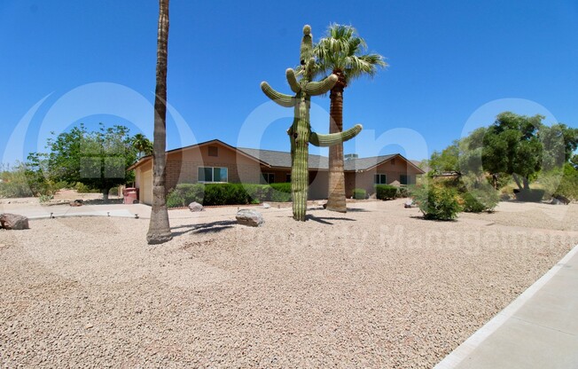 10312 E CACTUS RD