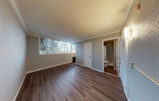 Studio, 1 bath, 264 sqft, $1,495, Unit #213