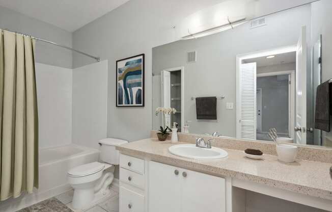 a bathroom with a sink and a toilet